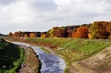 herbstliche Bäume an der Seseke